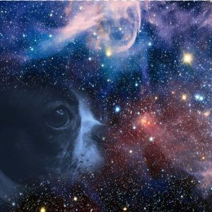 Meet your Posher, Deanna